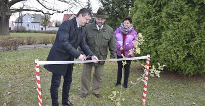 Dąb na stulecie niepodległości