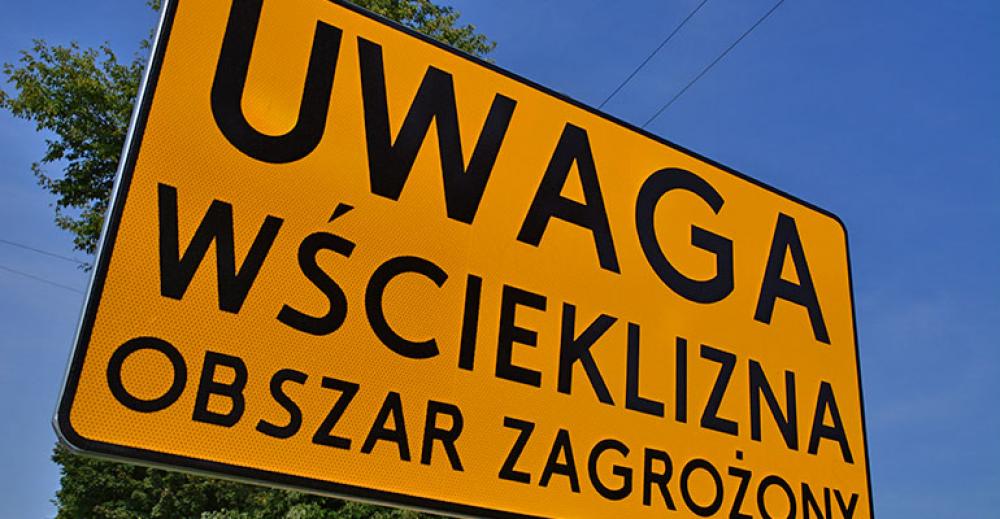 Wścieklizna nie odpuszcza