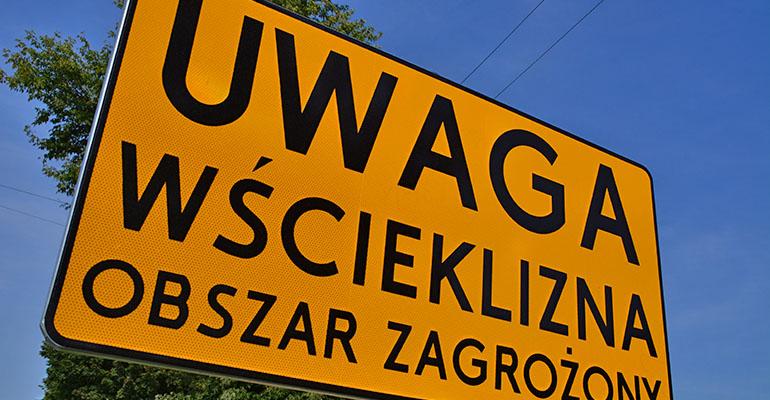 Wścieklizna nie odpuszcza