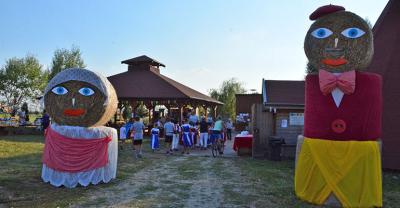 Kwiaty, zboża i trawy w Bożacinie[gallery][wideo]