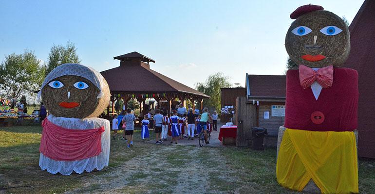 Kwiaty, zboża i trawy w Bożacinie