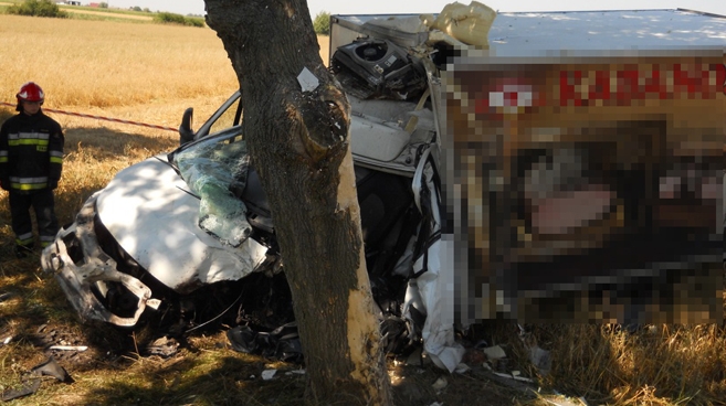 Śmiertelne zderzenie z drzewem [gallery]