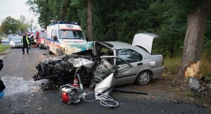 Osobówką w drzewo[gallery]