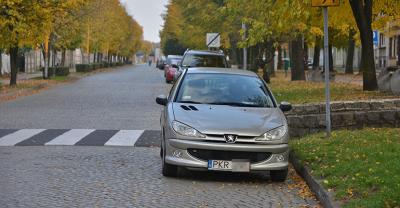 Mistrz parkowania 105