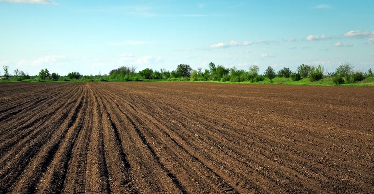 Podwyżka dzierżawy za grunty jest faktem