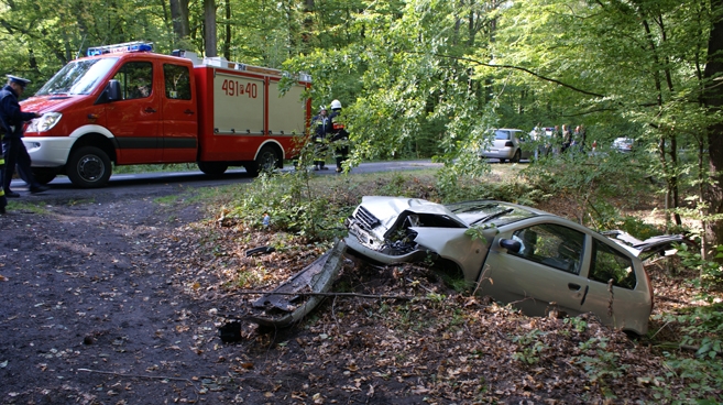 Uderzyła w drzewo [gallery][mp3]