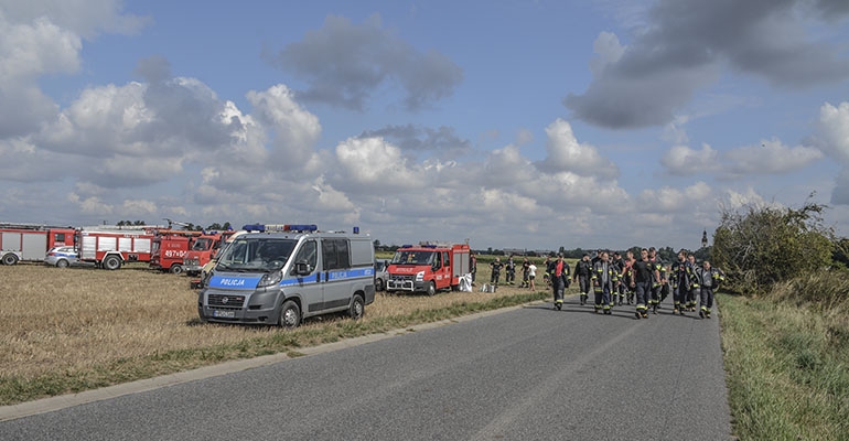 Znaleźli go pod Głogowem