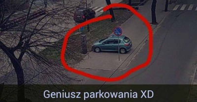 Mistrz parkowania 83