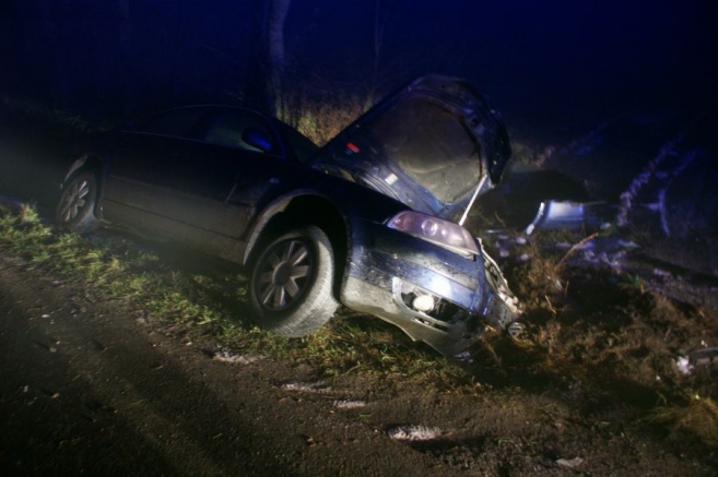 Passat wylądował w rowie [gallery]