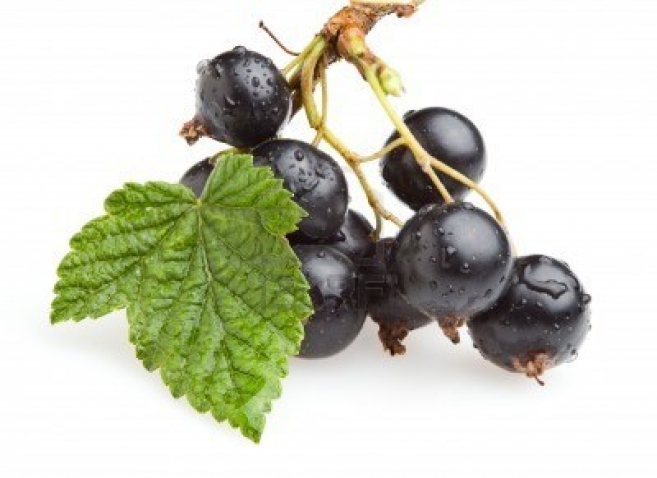 Gdzie jest witamina C?