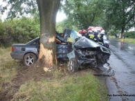 Audi wylądowało na drzewie [gallery]