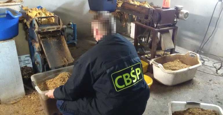CBŚ trafiło na nielegalną wytwórnię tytoniu
