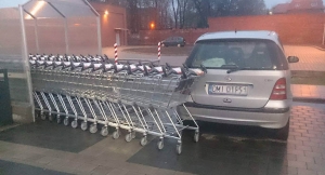 Mistrz parkowania 49