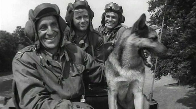 Najsłynniejszy polski pies