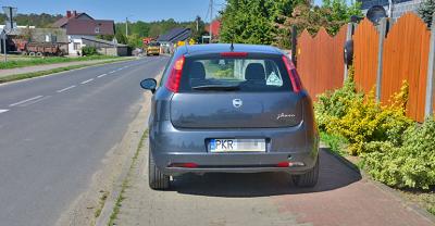 Mistrz parkowania 113