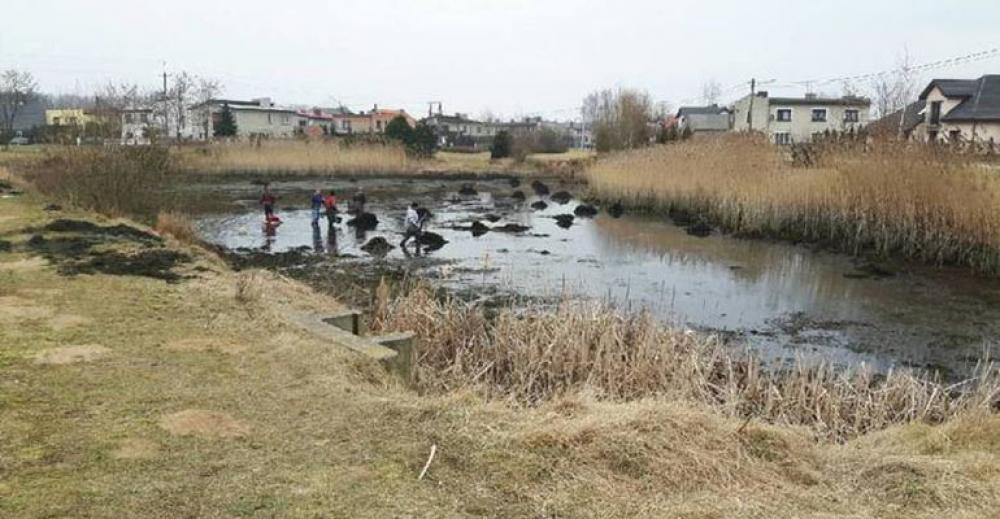 Upiększą teren przy Grobli