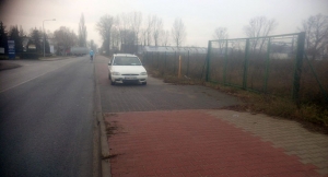 Mistrz parkowania 73