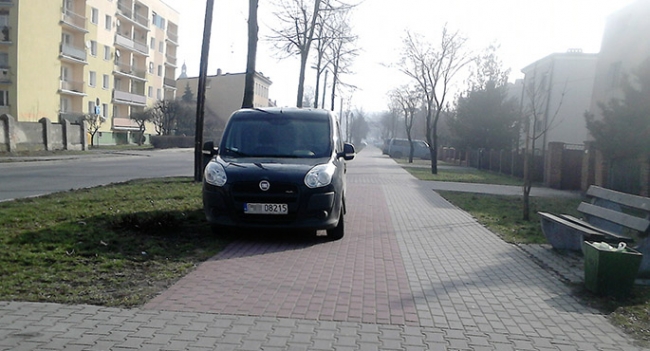 Mistrz parkowania 28