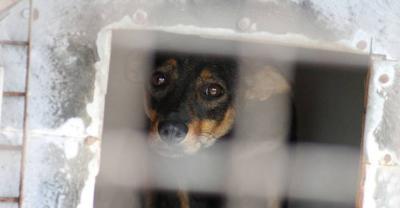 Krotoszyński oddział TOZ w Miliczu