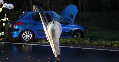 Samochód uderzył w słup[gallery]