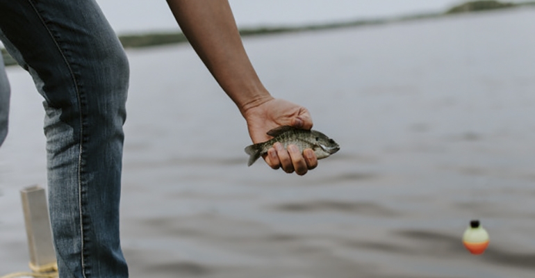 Pomoc dla utrzymujących stawy hodowlane