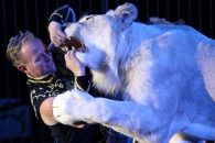 Wygraj bilety do Cyrku Korona