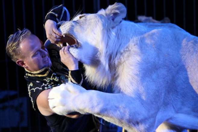 Wygraj bilety do Cyrku Korona