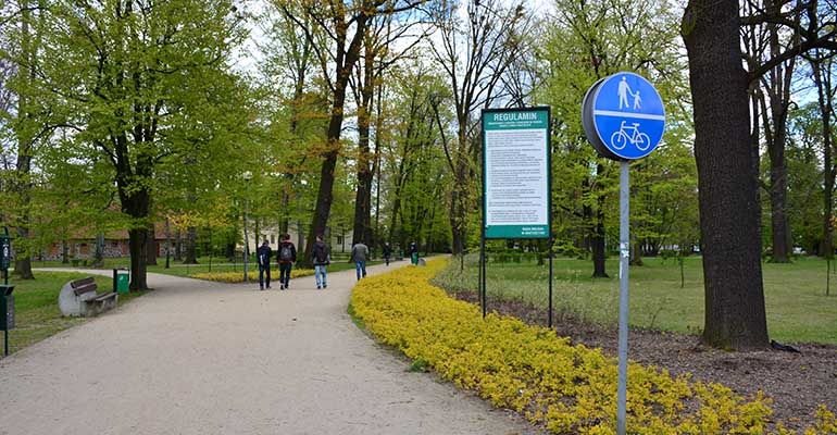 Pawie wrócą do parku?