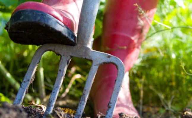 Wiosenne porządki w ogrodzie
