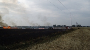 Zboże płonęło w Grębowie[gallery]