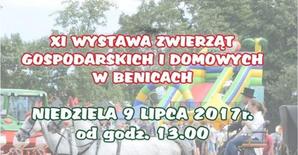 Te co skaczą i fruwają do Benic zjeżdżają