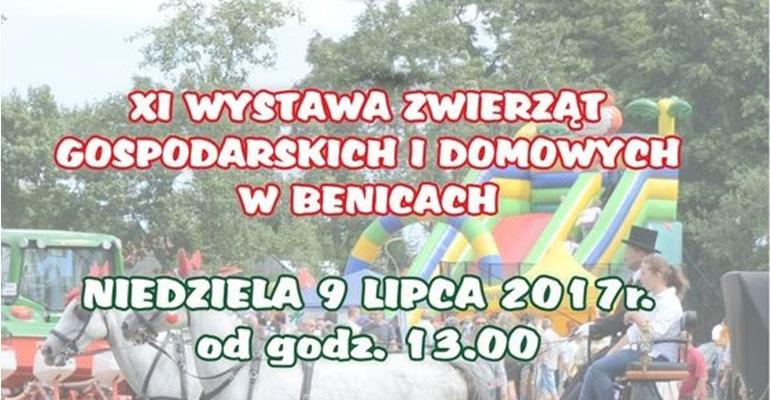 Te co skaczą i fruwają do Benic zjeżdżają