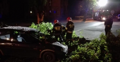 Samochód przygnieciony przez konar[gallery]