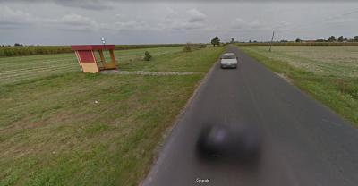 Ścieżka z Dzielic do Rozdrażewa