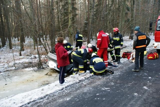 Dachowanie w lesie sulmierzyckim