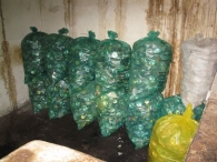 Złodziej zatrzymany na gorącym uczynku