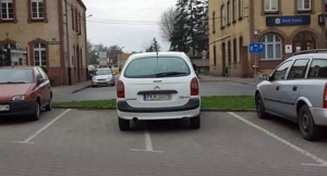 Mistrz parkowania 47