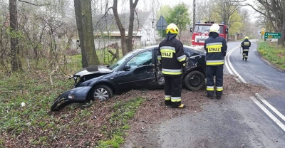 Pijany kierowca uderzył w przydrożne drzewo