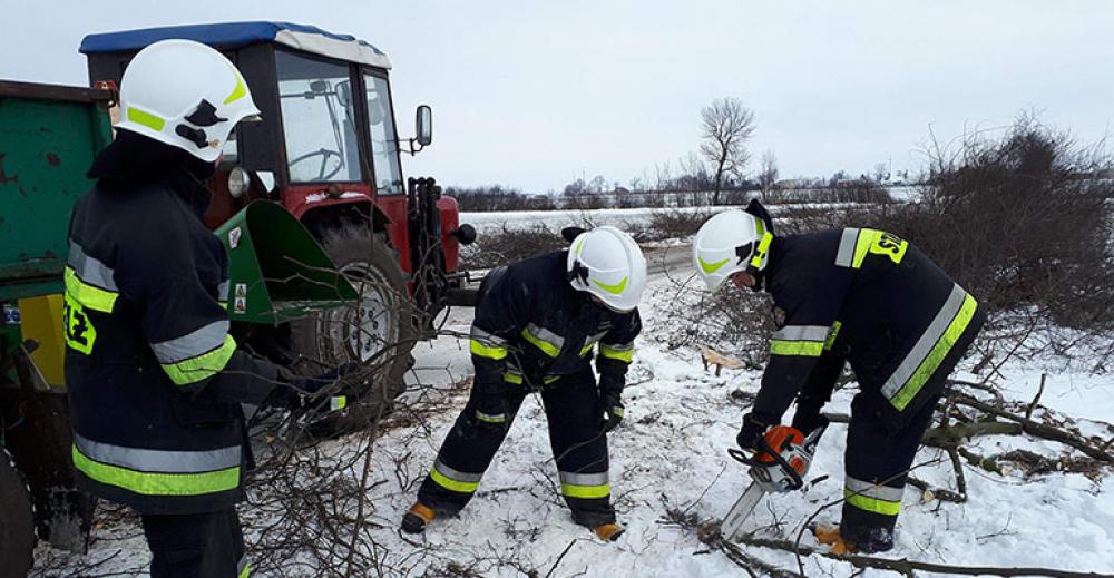 Wycięli lipy przy powiatówce