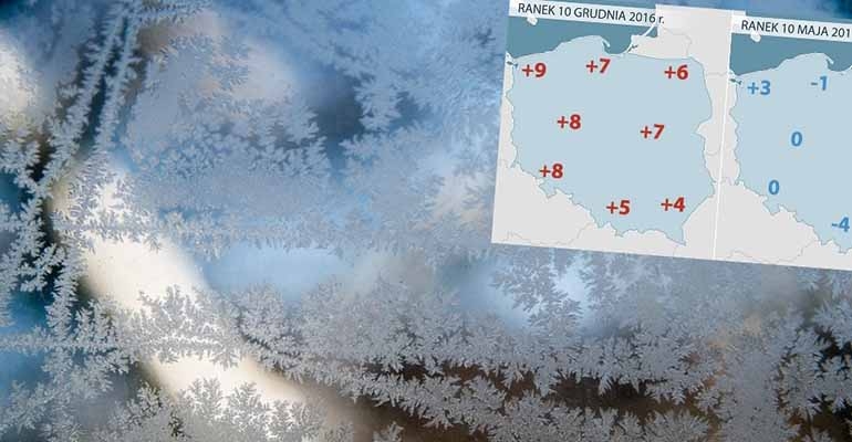 Wczoraj o świcie mroźno było prawie w całej Polsce