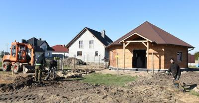 Grzybek rośnie jak grzyby po deszczu