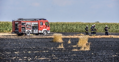 Pożar pola w Dzielicach