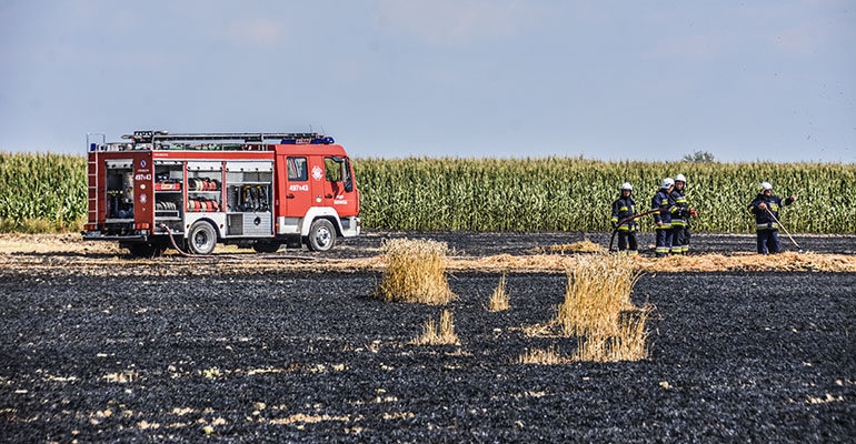 Pożar pola w Dzielicach