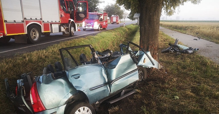 Samochód osobowy uderzył w drzewo