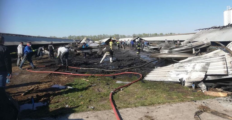 Pożar na fermie norek