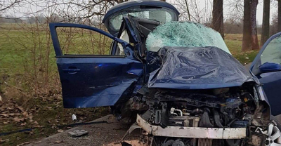 Rozbił się na drzewie