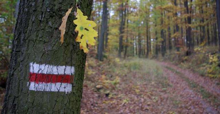 Krotoszyn – Baszków (15,0 km)