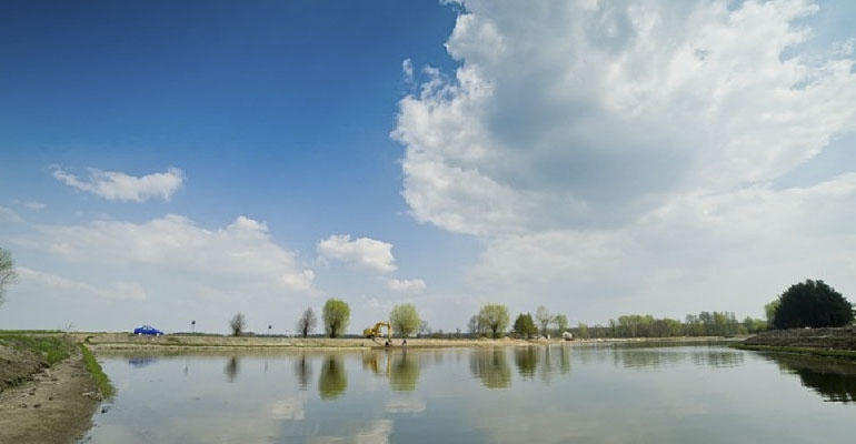 W Długołęce grasują wandale