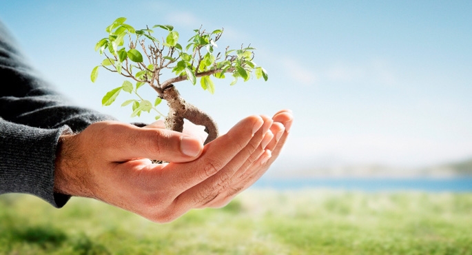 Wielkopolskie firmy w trosce o środowisko