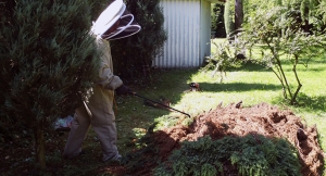 Strażacy z Koźmina usuwali kokon os